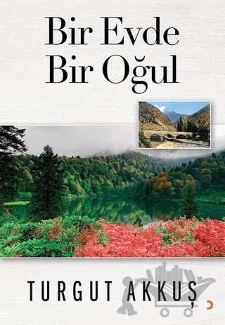 Bir Evde Bir Oğul – Turgut Akkuş – Cinius Yayınları kitap kapağı