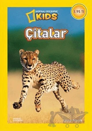 Çitalar – Laura Marsh – Beta Kids kitap kapağı
