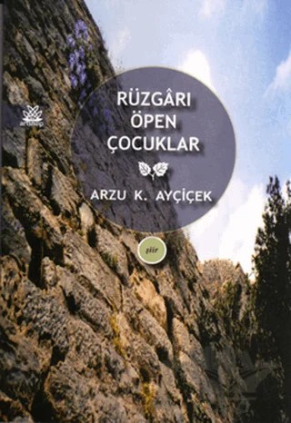 Rüzgarı Öpen Çocuklar – Arzu K. Ayçiçek – Artshop Yayıncılık kitap kapağı