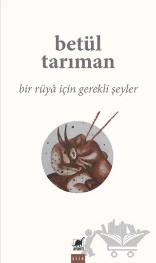 Bir Rüya İçin Gerekli Şeyler – Betül Tarıman – Ayrıntı Yayınları kitap kapağı
