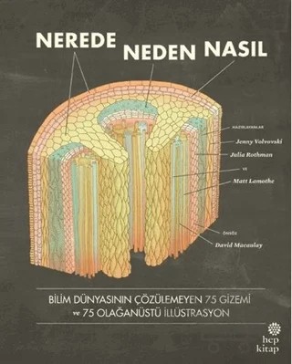 Nerede, Neden, Nasıl – Jenny Volvovski, Julia Rothman, Matt Lamothe – Hep Kitap kitap kapağı