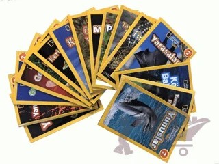 National Geographic Kids-Okuma Serisi Seviye 2 Seti-17 Kitap Takım – Melissa Stewart – Beta Yayınevi kitap kapağı