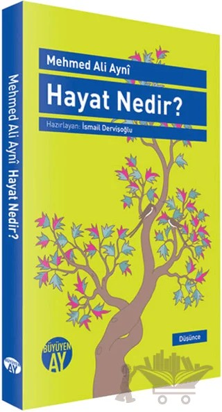 Hayat Nedir? – Mehmed Ali Aynî – Büyüyen Ay Yayınları kitap kapağı