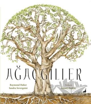 Ağaçgiller – Raymond Huber, Sandra Severgnini – Everest Çocuk kitap kapağı