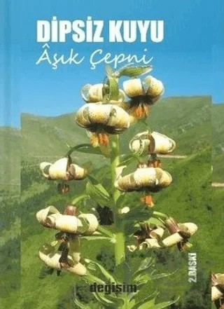 Dipsiz Kuyu – Aşık Çepni – Değişim Yayınları kitap kapağı