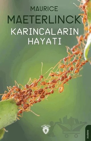 Karıncaların Hayatı – Maurice Maeterlinck – Dorlion Yayınları kitap kapağı
