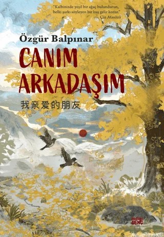 Canım Arkadaşım – Özgür Balpınar – İndigo Genç kitap kapağı