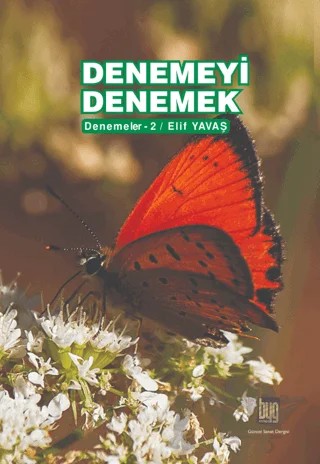 Denemeyi Denemek – Elif Yavaş – Baygenç Ajans kitap kapağı