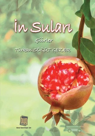 İn Suları – Türkan Söğüt Gezer – Baygenç Yayıncılık kitap kapağı