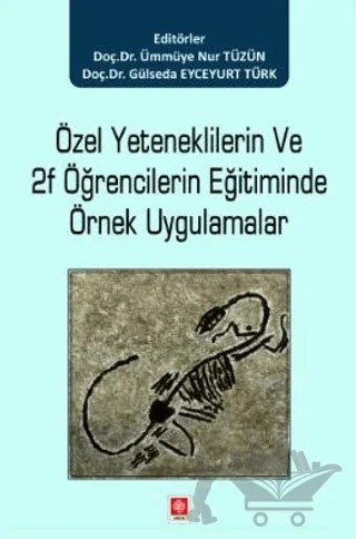 Özel Yeteneklilerin ve 2F Öğrencilerin Eğitiminde Örnek Uygulamalar – Ümmüye Nur Tüzün, Gülseda Eyceyurt Türk – Ekin Basım Yayın kitap kapağı