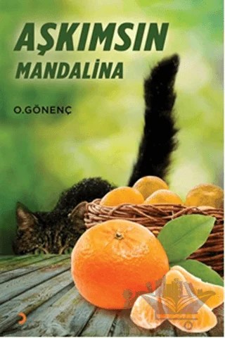 Aşkımsın Mandalina – Oral Gönenç – Cinius Yayınları kitap kapağı
