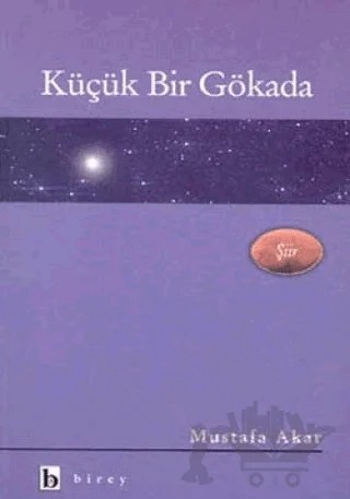 Küçük Bir Gökada – Mustafa Akar – Birey Yayıncılık kitap kapağı