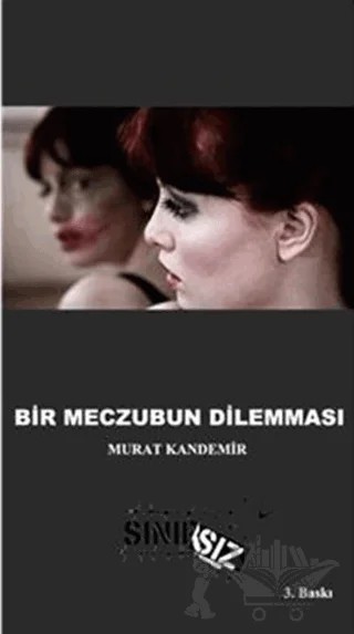 Bir Meczubun Dilemması – Murat Kandemir – Sınırsız Kitap kitap kapağı