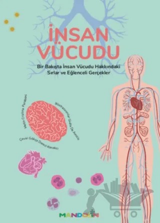 İnsan Vücudu – Cristina Peraboni, Giulia De Amicis, Gökçe Dereci Konakcı – Mandolin Yayınları kitap kapağı