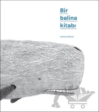 Bir Balina Kitabı – Andrea Antinori – MEAV Yayıncılık kitap kapağı