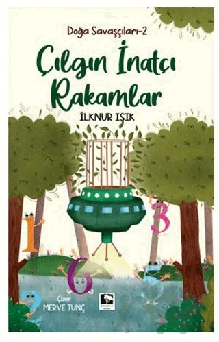 Çılgın Ve İnatçı Rakamlar – İlknur Işık – Çınaraltı Yayınları kitap kapağı