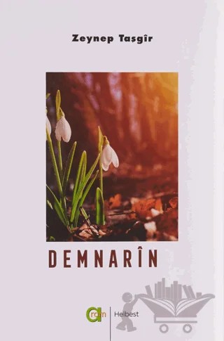 Demnarin – Zeynep Taşgir – Aram Yayınları kitap kapağı