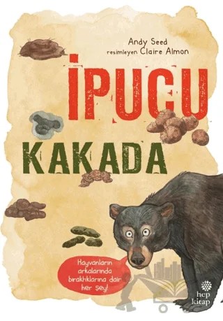 İpucu Kakada – Andy Seed – Hep Kitap kitap kapağı