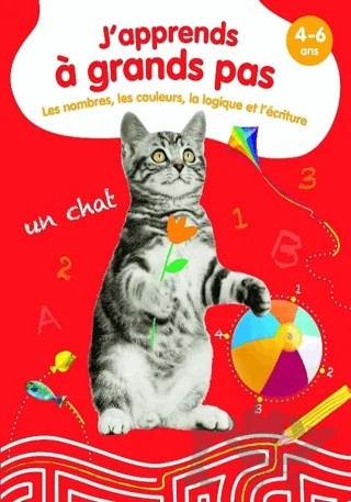 Les Nombres, Les Couleurs, La Logique Et L'ecriture - J'apprends A Grands Pas – Kolektif – Tam Tam kitap kapağı