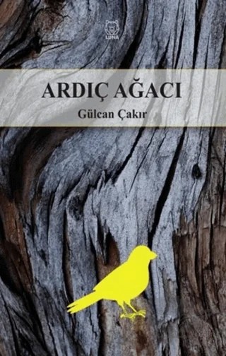 Ardıç Ağacı – Gülcan Çakır – Luna Yayınları kitap kapağı