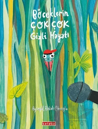 Böceklerin Çok Çok Gizli Hayatı – Ayşegül Babalı Ekşioğlu – Ketebe Çocuk kitap kapağı