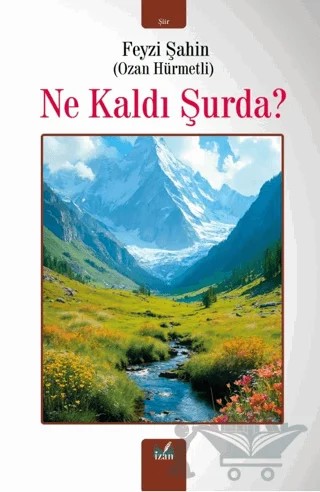 Ne Kaldı Şurda? – Feyzi Şahin – İzan Yayıncılık kitap kapağı