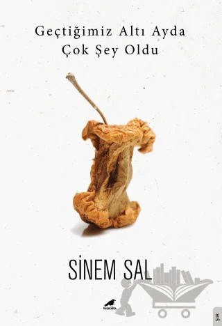 Geçtiğimiz Altı Ayda Çok Şey Oldu – Sinem Sal – Kara Karga Yayınları kitap kapağı