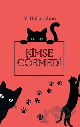 Kimse Görmedi – Ali Hulki Cihan – Herdem Kitap kitap kapağı