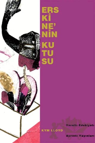 Erskine’nin Kutusu – Kym Lloyd – Ayrıntı Yayınları kitap kapağı