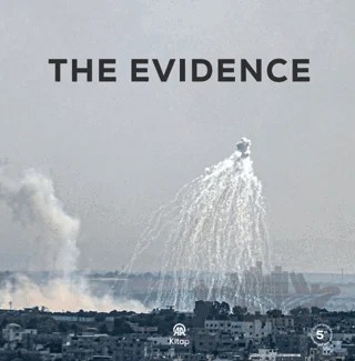 The Evidence – Kolektif – AA Kitap kitap kapağı