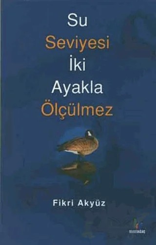 Su Seviyesi İki Ayakla Ölçülmez – Fikri Akyüz – Mavi Ağaç Yayınları kitap kapağı