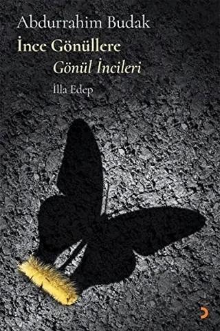 İnce Gönüllere Gönül İncileri – Abdurrahim Budak – Cinius Yayınları kitap kapağı