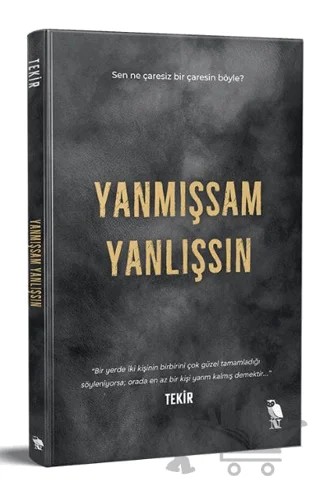 Yanmışsam Yanlışsın – Tekir – Nemesis Kitap kitap kapağı