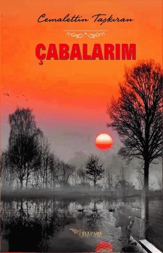 Çabalarım – Cemalettin Taşkıran – Tulpars Yayınevi kitap kapağı