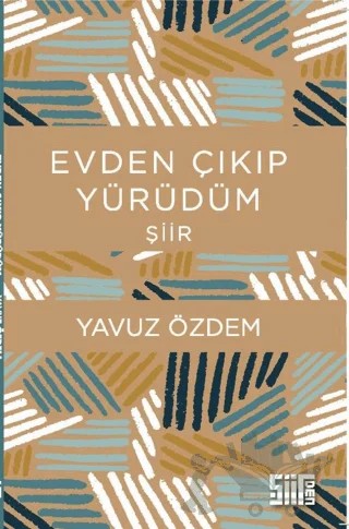 Evden Çıkıp Yürüdüm – Yavuz Özdem – Şiirden Yayıncılık kitap kapağı