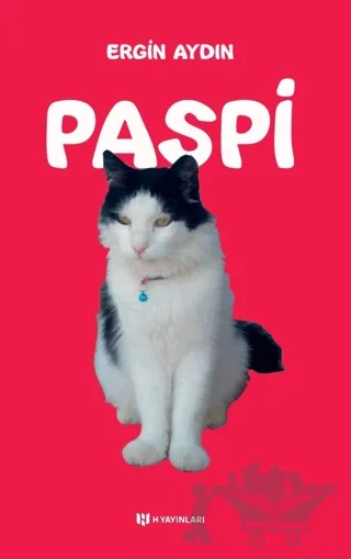 Paspi – Ergin Aydın – H Yayınları kitap kapağı