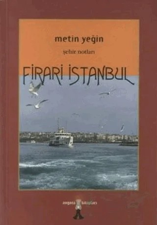 Firari İstanbul – Metin Yeğin – Su Yayınevi kitap kapağı