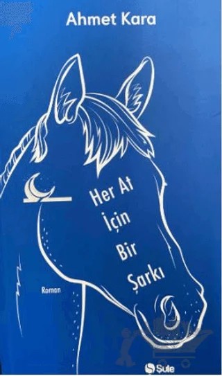 Her At İçin Bir Şarkı – Ahmet Kara – Şule Yayınları kitap kapağı