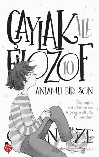 Çaylak İle Filozof – Özkan Öze – Uğurböceği Yayınları kitap kapağı