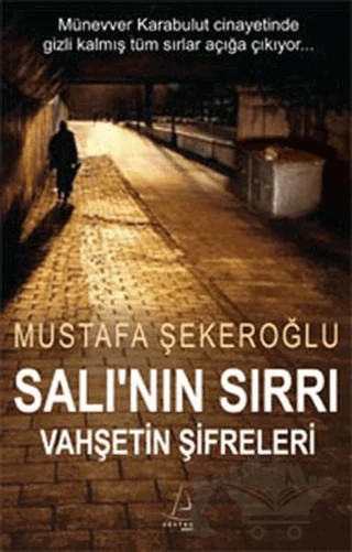 Salı’nın Sırrı – Mustafa Şekeroğlu – Destek Yayınları kitap kapağı