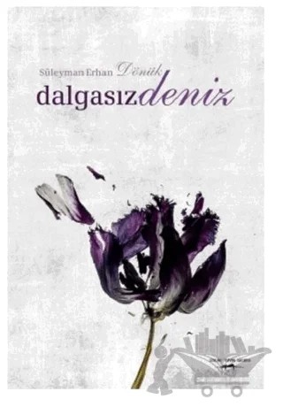 Dalgasız Deniz – Süleyman Erhan Dönük – Sokak Kitapları Yayınları kitap kapağı