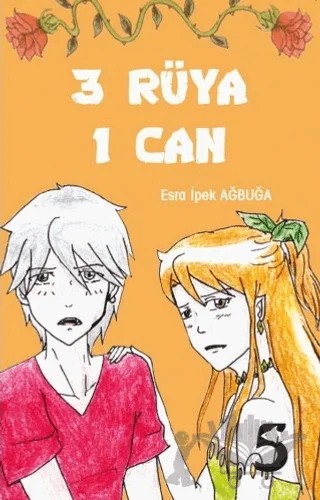 3 Rüya 1 Can – Esra İpek Ağbuğa – Beşbalık Yayınevi kitap kapağı