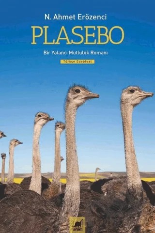 Plasebo – N. Ahmet Erözenci – Ayrıntı Yayınları kitap kapağı