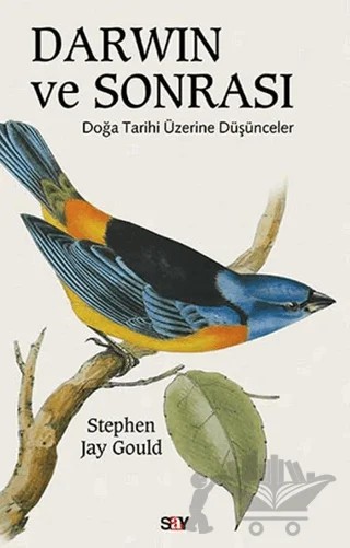 Darwin ve Sonrası – Stephen Jay Gould – Say Yayınları kitap kapağı