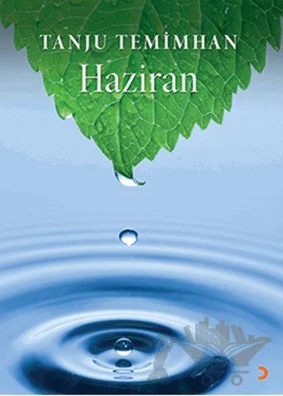 Bütün Sokaklar - Haziran – Sumru Temimhan, Tanju Temimhan – Cinius Yayınları kitap kapağı