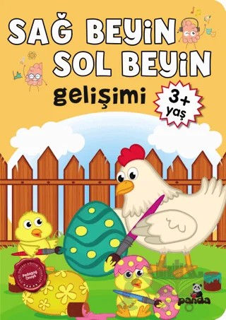Sağ Beyin - Sol Beyin Gelişimi +3 Yaş – Kolektif – Beyaz Panda Yayınları kitap kapağı