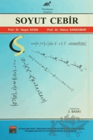 Soyut Cebir – Hatice Kandamar, Neşet Aydın – Paradigma Akademi Yayınları kitap kapağı