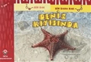 Bir Bak Bir Daha Bak - Deniz Kıyısında – David M. Schwartz, Marilyn Marks – TÜBİTAK Yayınları kitap kapağı