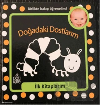 Doğadaki Dostlarım - İlk Kitaplarım Serisi – Kolektif – Pötikare Yayıncılık kitap kapağı