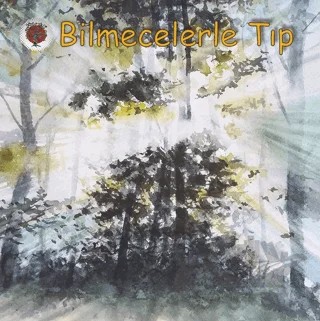Bilmecelerle Tıp – Cengiz Yakıncı, Mehmet Ali Erkurt, Fevzi Altuntaş, Sinan Dal – Yüksek İhtisas Üniversitesi Yayınevi kitap kapağı